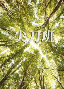 贱妇