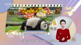 国产成人亚洲精品蜜芽影院